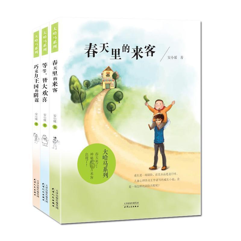 彼得比尔特379拼图